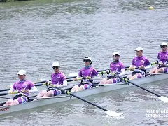 老虎不发威你当我是病猫的类似句子 老虎不发威你当我是病猫的类似句子